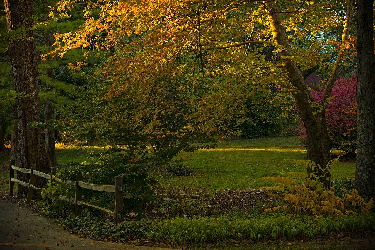 Paint a Perfect Day: Mastering Light in Landscape Art